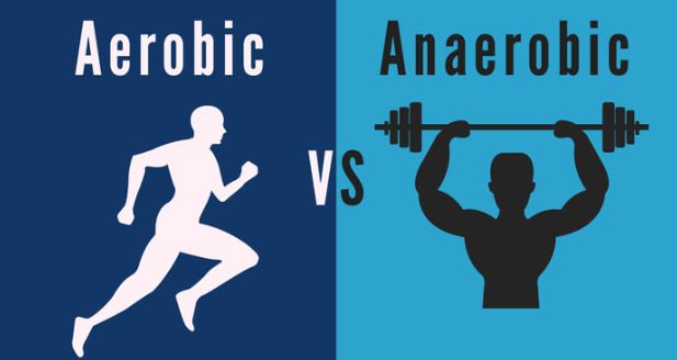 Aerobic and anaerobic exercises