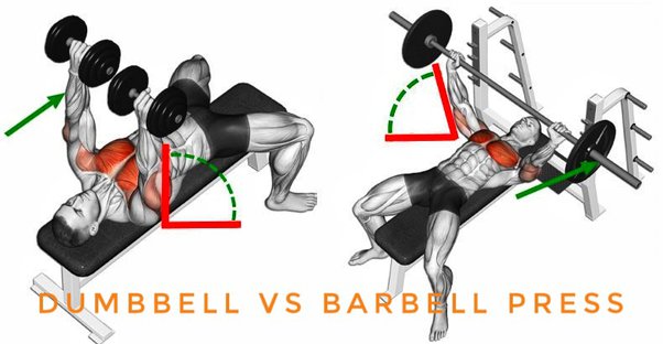 Graphic of a dumbbell bench press and barbell bench press