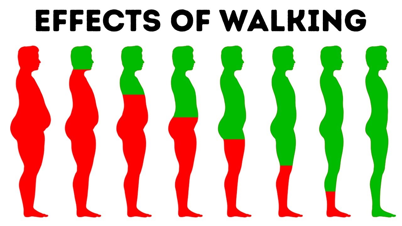 Red and green graphic of eight full-body profiles. Profiles go from overweight to slim, with each one progressively slimmer when viewed from left to right.