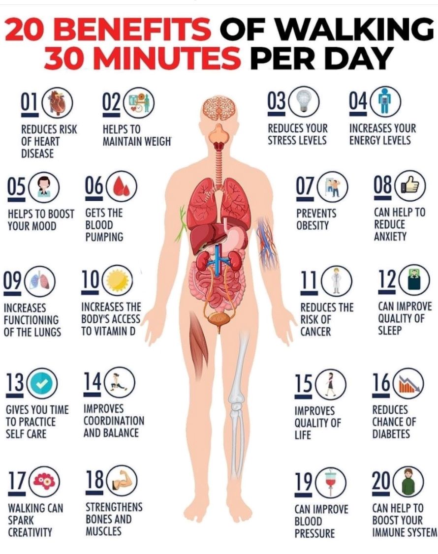 Graphic of human body showing internal organs and listing the benefits of walking around the image