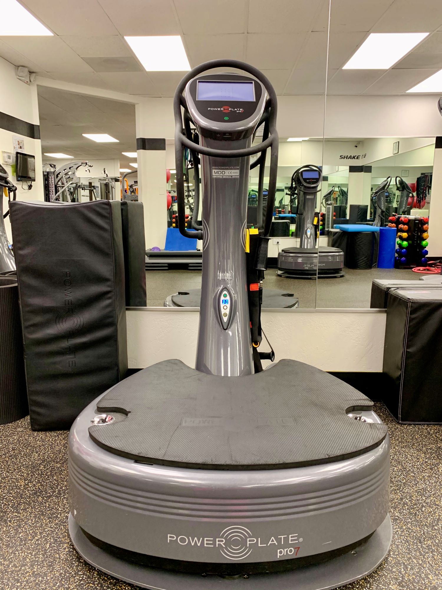 Front view of a Power Plate at AFAC gym