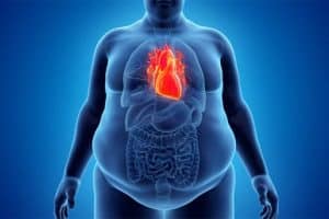 Shades of blue graphic simulating x-ray image of obese person with heart highlighted in red