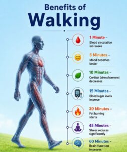 Graphic showing the benefits of walking in timeline format from 1 minute to 60 minutes