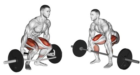 Drawing showing man on left doing trap bar deadlift and man on right doing barbell deadlift with muscles worked highlighted in red